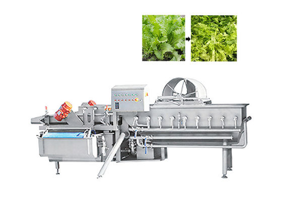 دستگاه برش کاهو برگ سبز 1000 کیلوگرم در ساعت برای سبزیجات سالاد میوه