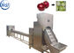 ماشین آلات پردازش پیاز تجهیزات غذایی ماشین آلات پودر پیاز 12 - 85kw
