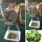 پردازش خودکار مواد غذایی 300-1000KG / H رستوران برش سبزیجات برقی سبزیجات Mchine