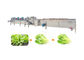 هویج 10.1 کیلو وات 1500 کیلوگرم در ساعت دستگاه خشک کن سبزیجات SS304