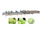 هویج 10.1 کیلو وات 1500 کیلوگرم در ساعت دستگاه خشک کن سبزیجات SS304