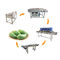 خط پردازش انبه ماشین لباسشویی سبزیجات و میوه SS304