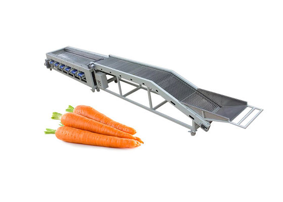 3t / H دستگاه درجه بندی هویج برقی دستگاه مرتب سازی هویج گوجه فرنگی